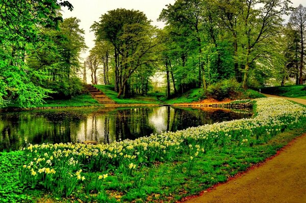 Bardzo ładny park z zieloną trawą i drzewami