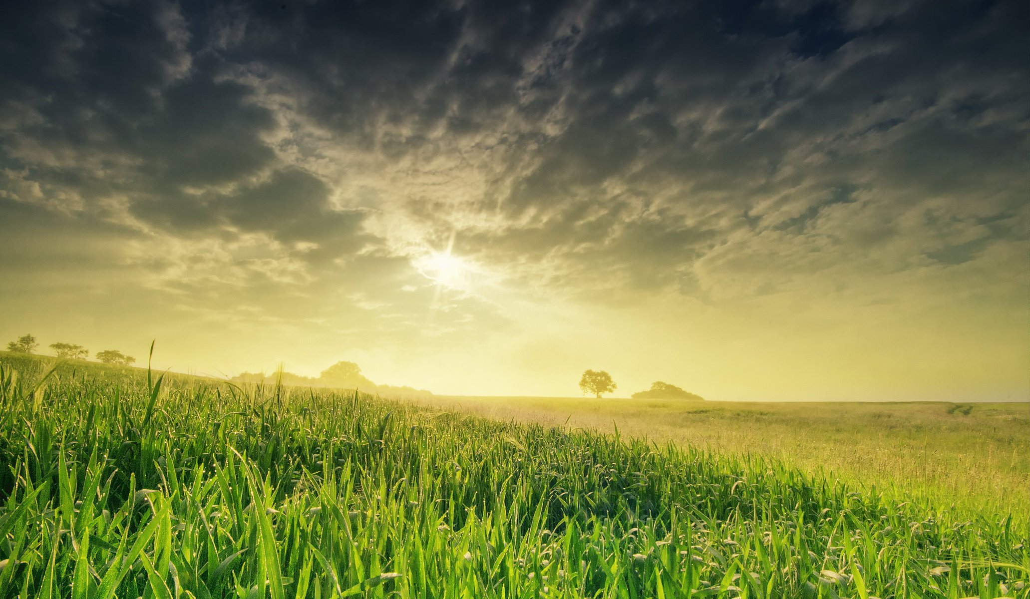 été soleil ciel soirée herbe