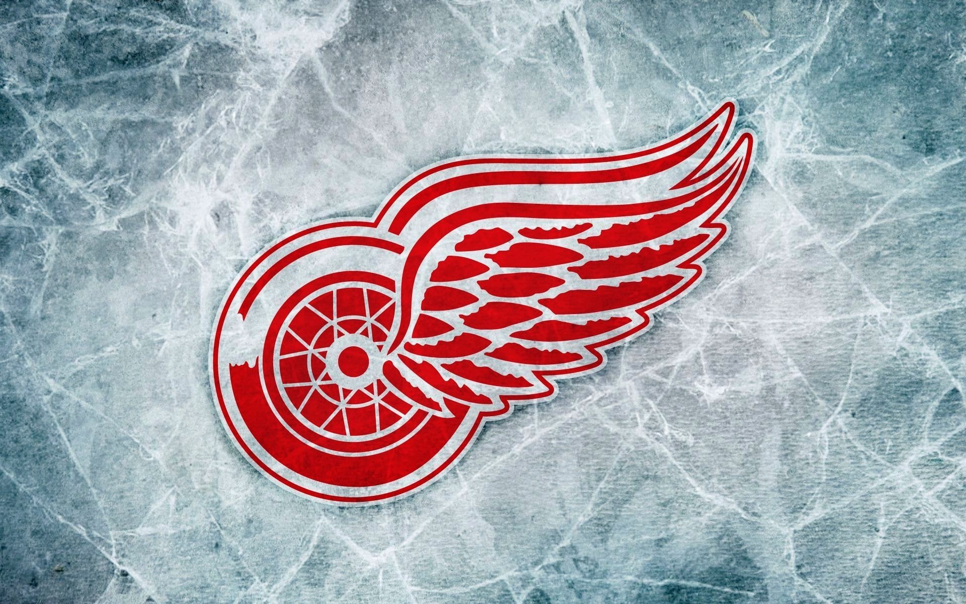 detroit red wings nhl eishockey logo eis