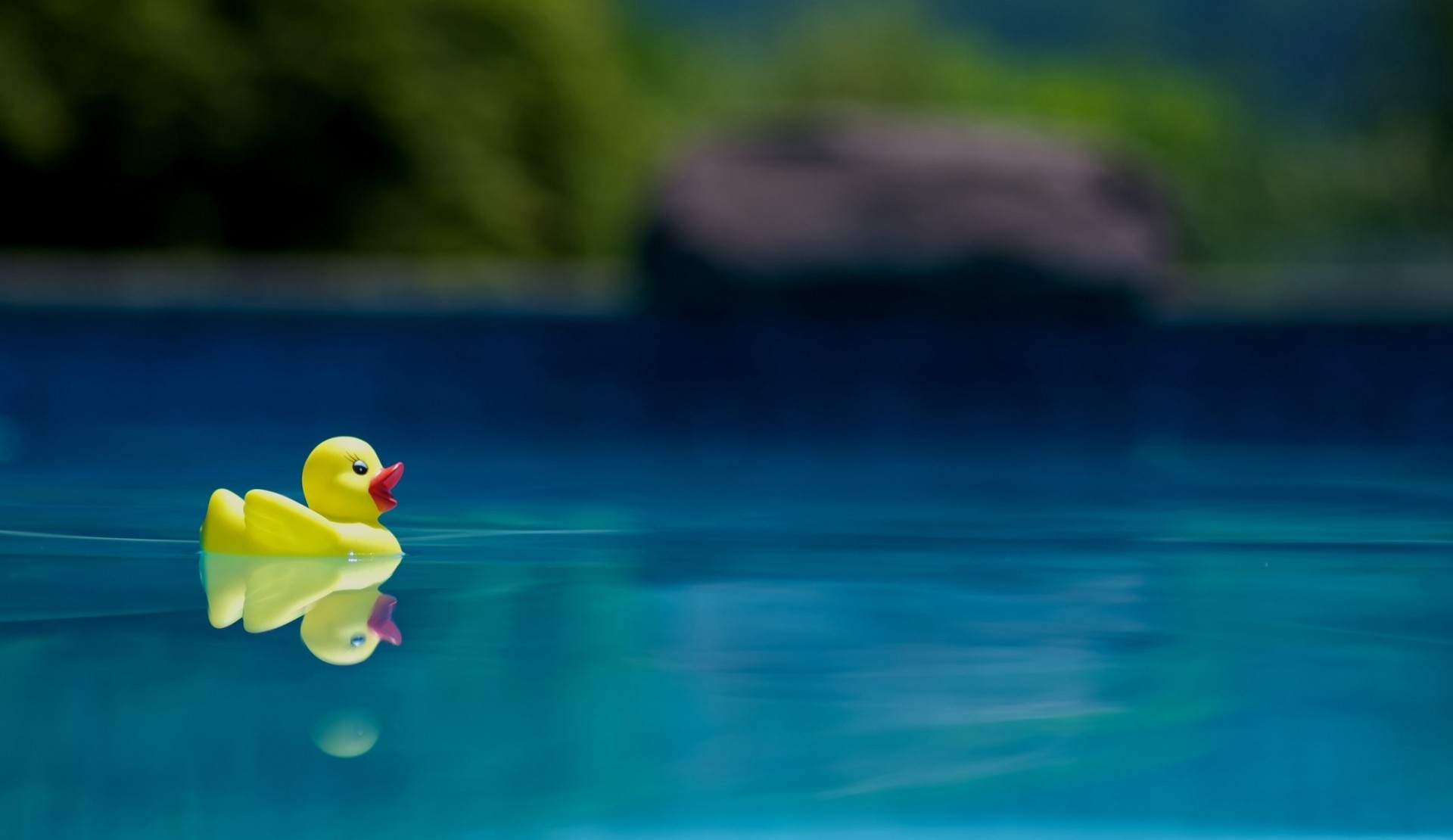 wasser pool schwimmen paddel gelb spielzeug ninja