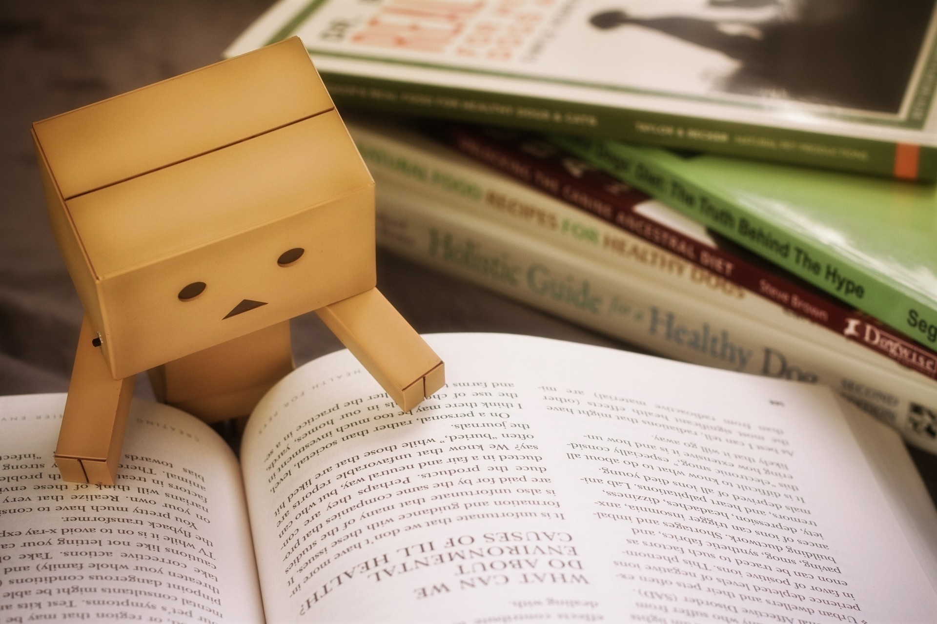 livre étude danbo homme en carton jouets lire