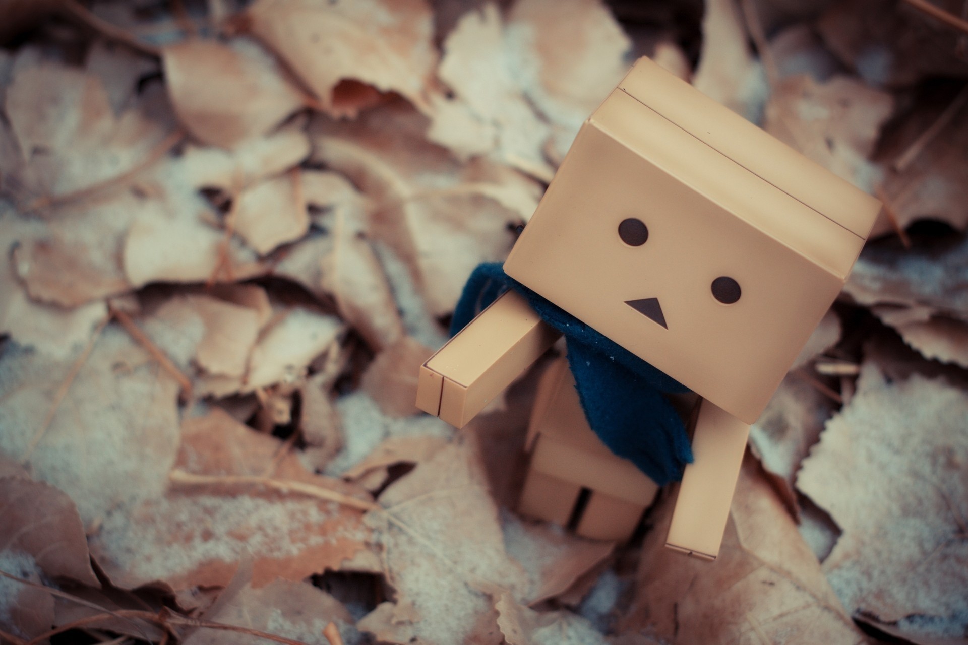 juguetes caja danbo hoja