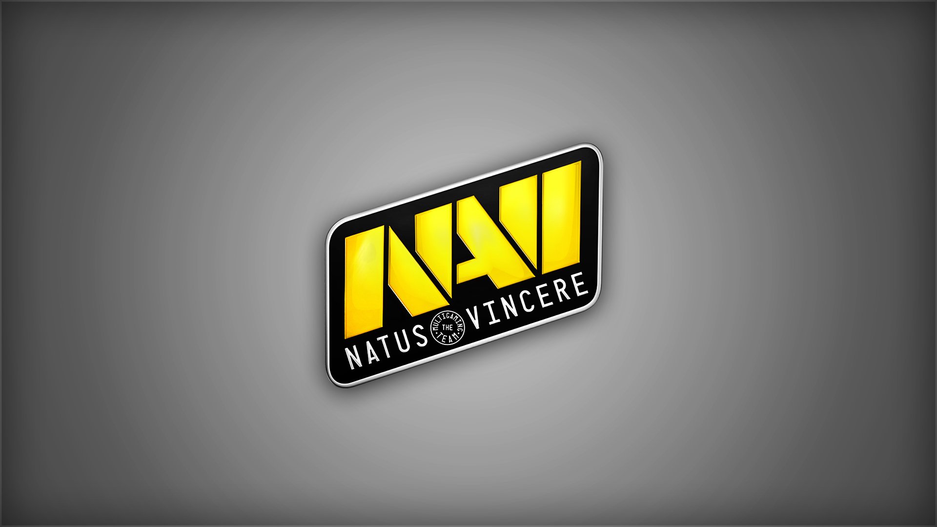 natus vincere na vi counter-strike dota 2 campioni squadra