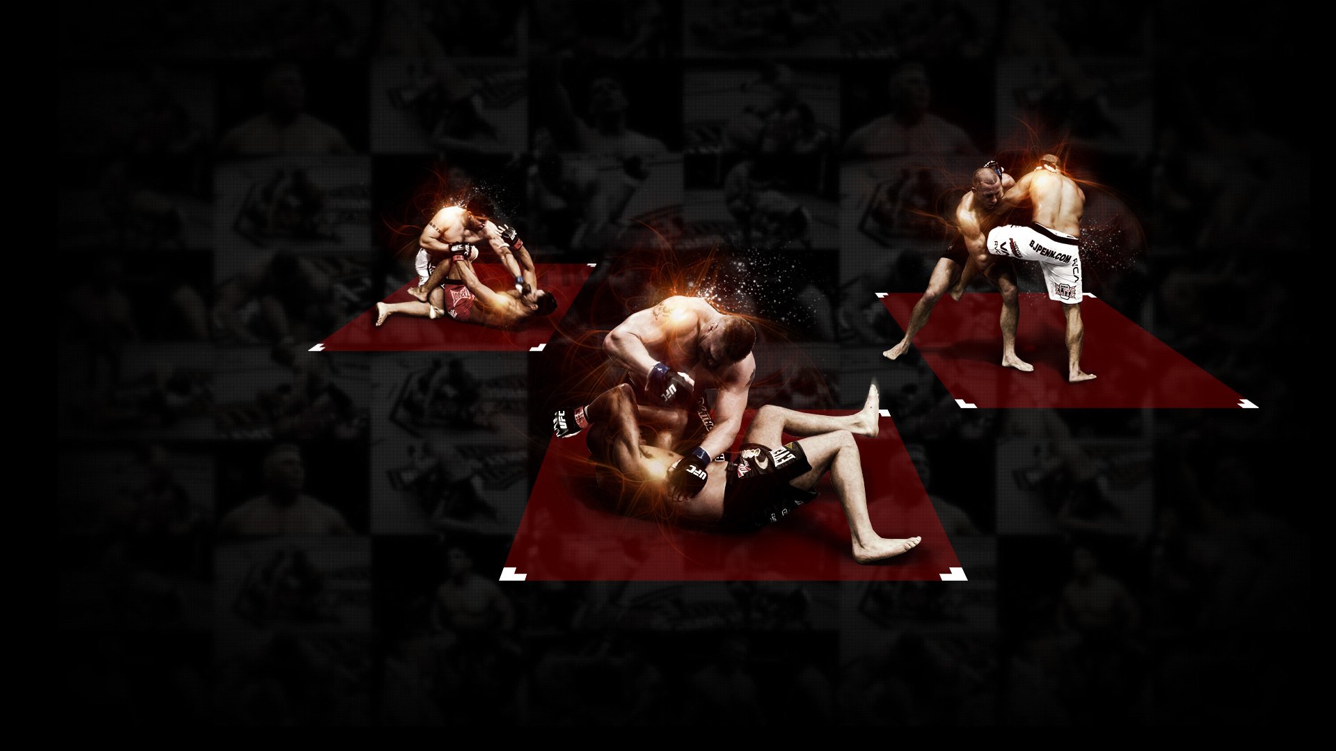 ufc luchadores artes marciales mixtas campeones frank mir georges st-pierre brock lesnar