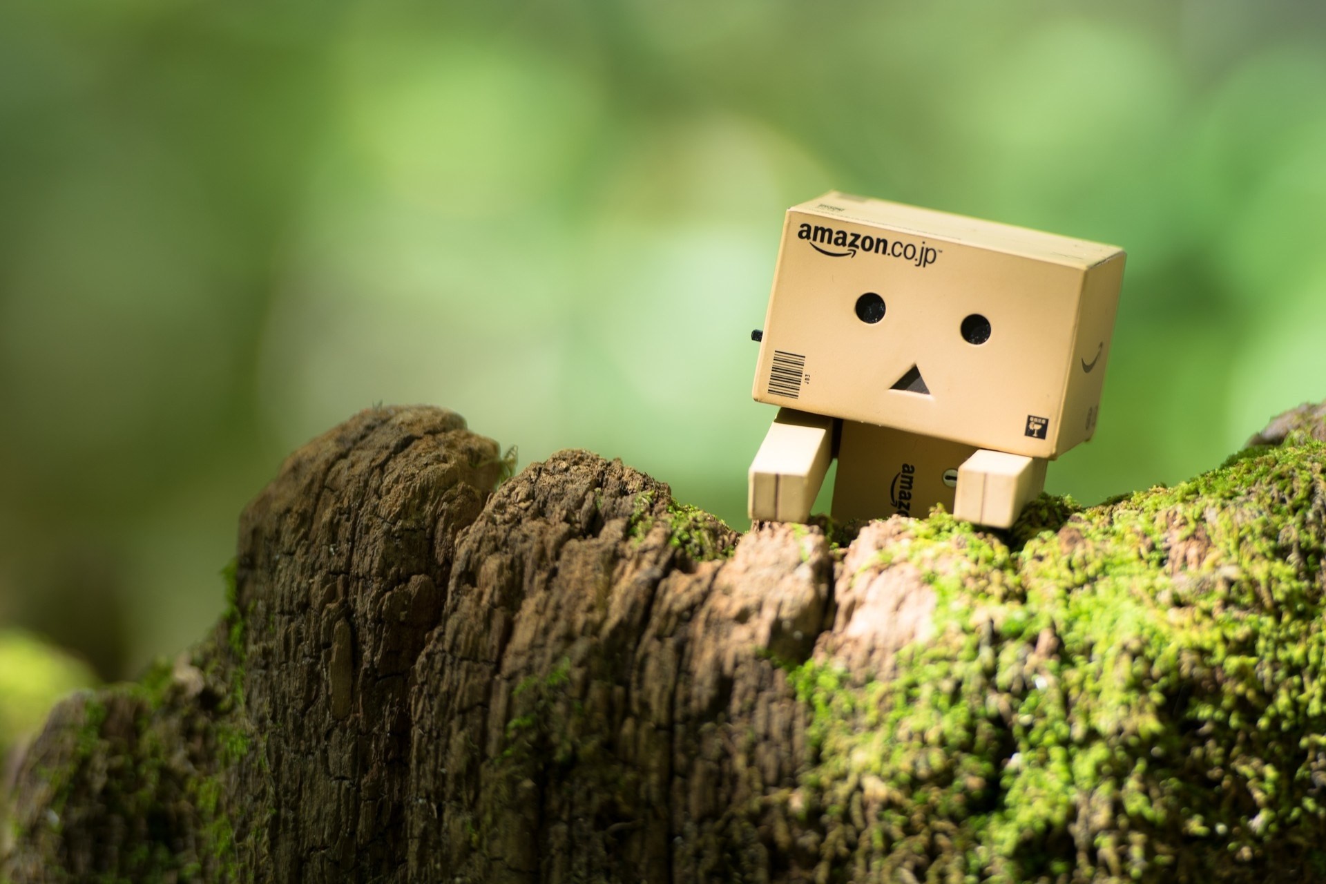 karton mann danbo spielzeug