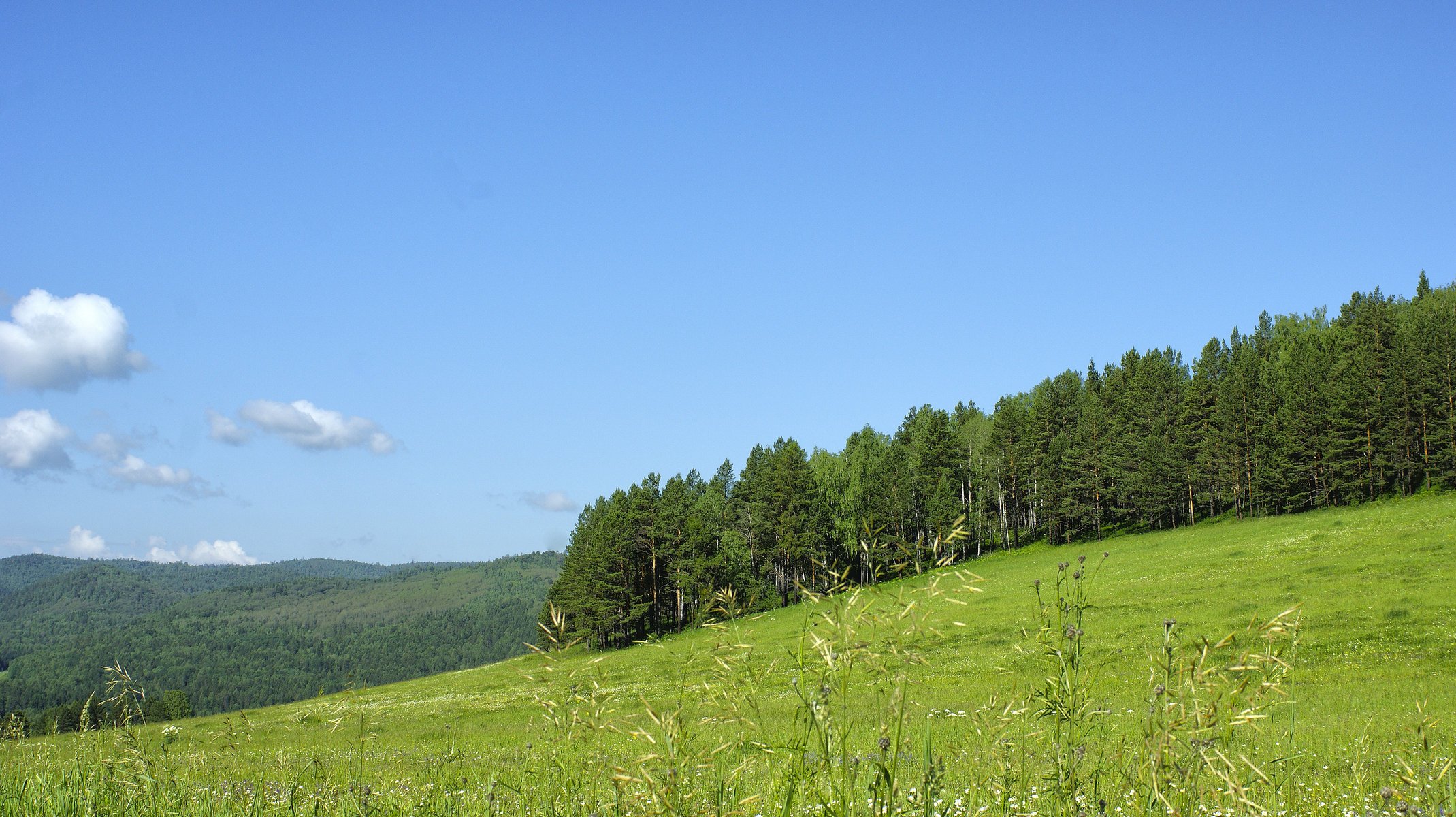 naturaleza montañas río