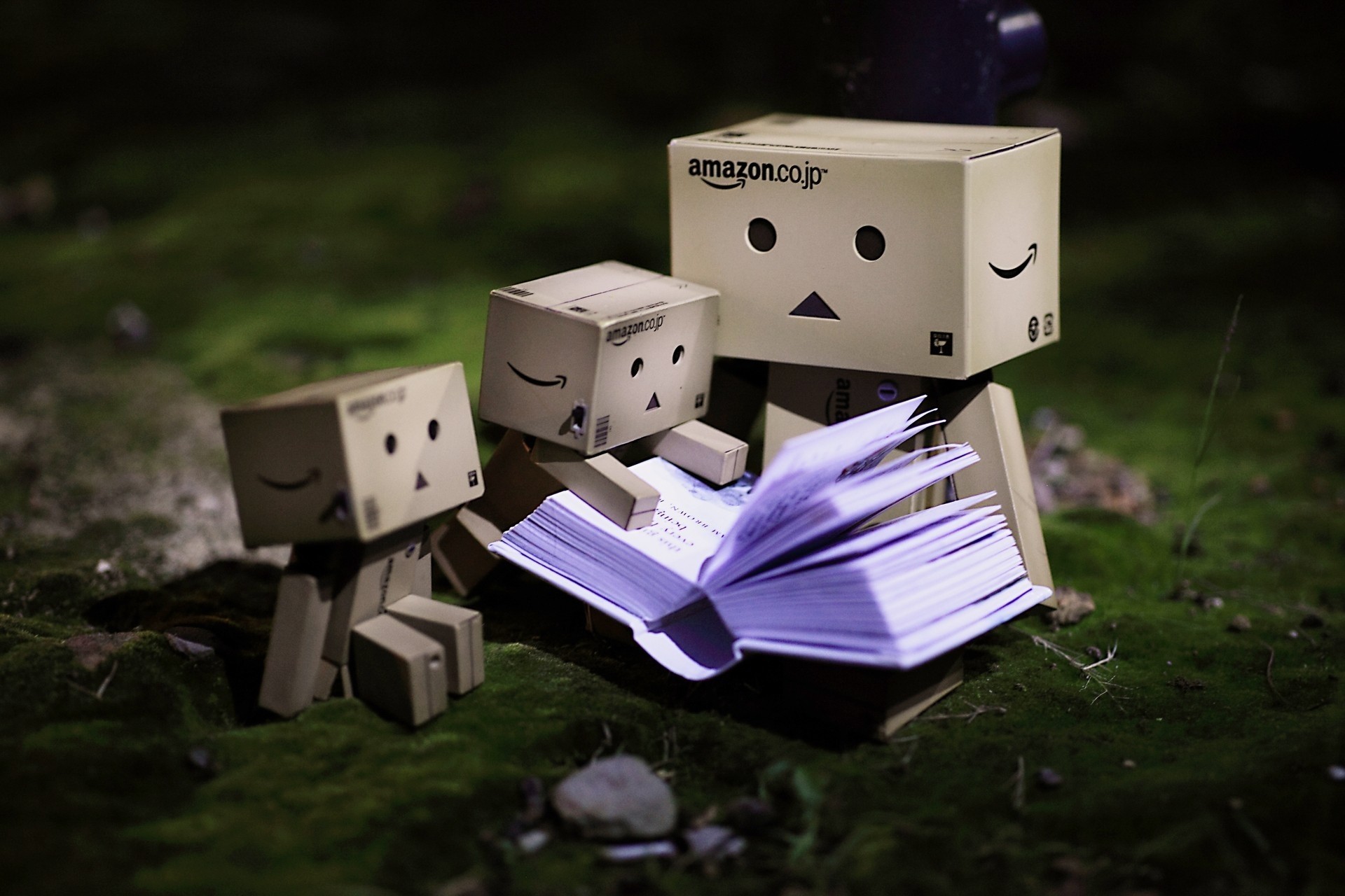 danbo buch charakter