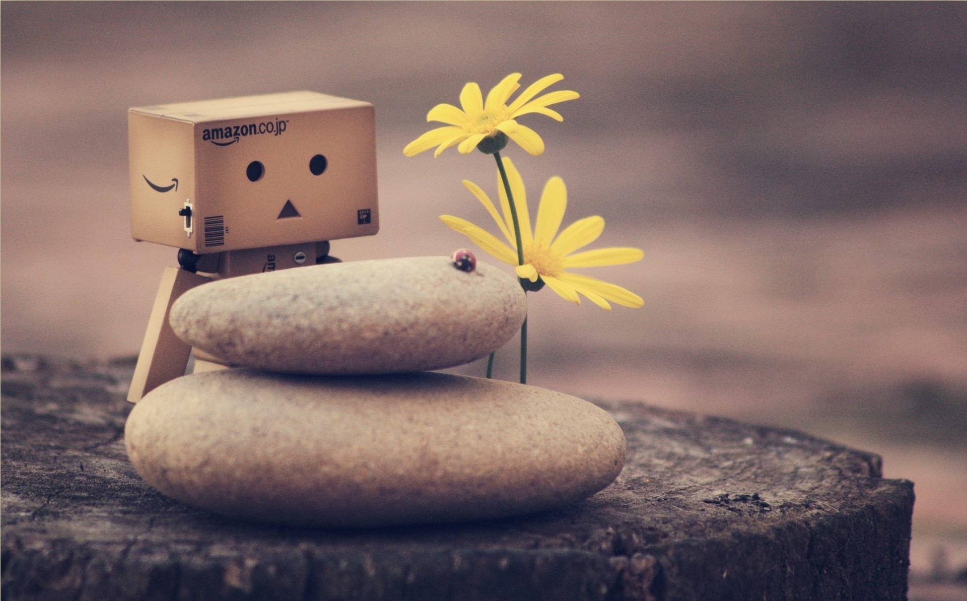 primavera danbo juguetes