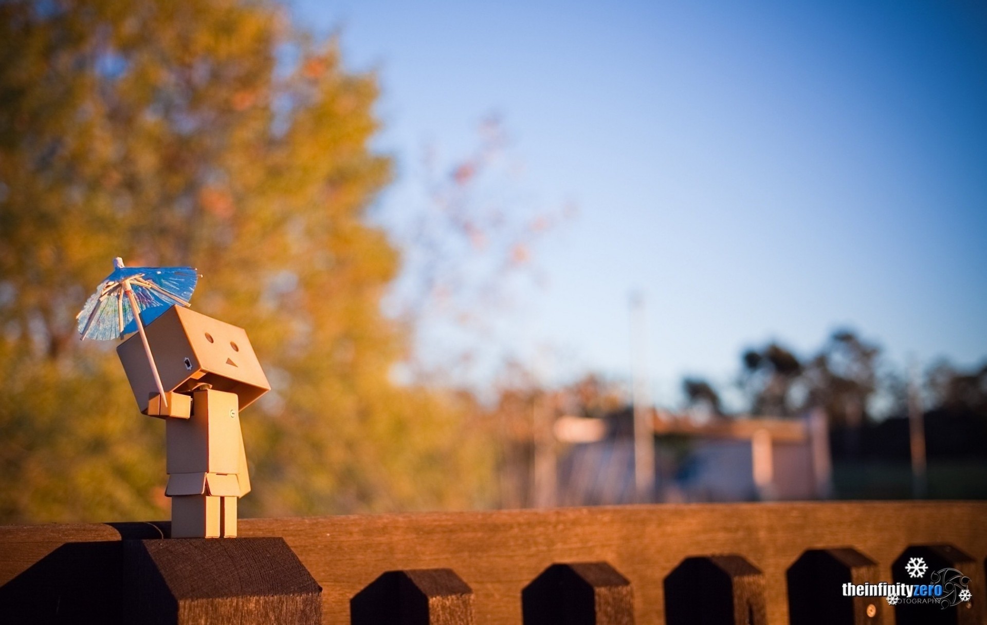 homme en carton danbo jouets