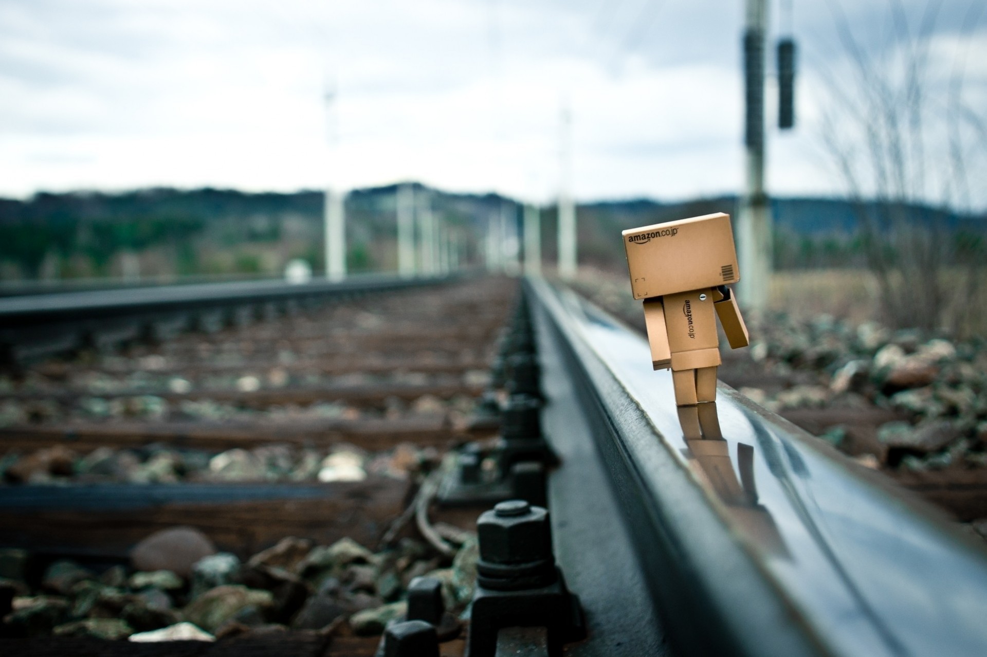 danbo ferrovia giocattoli