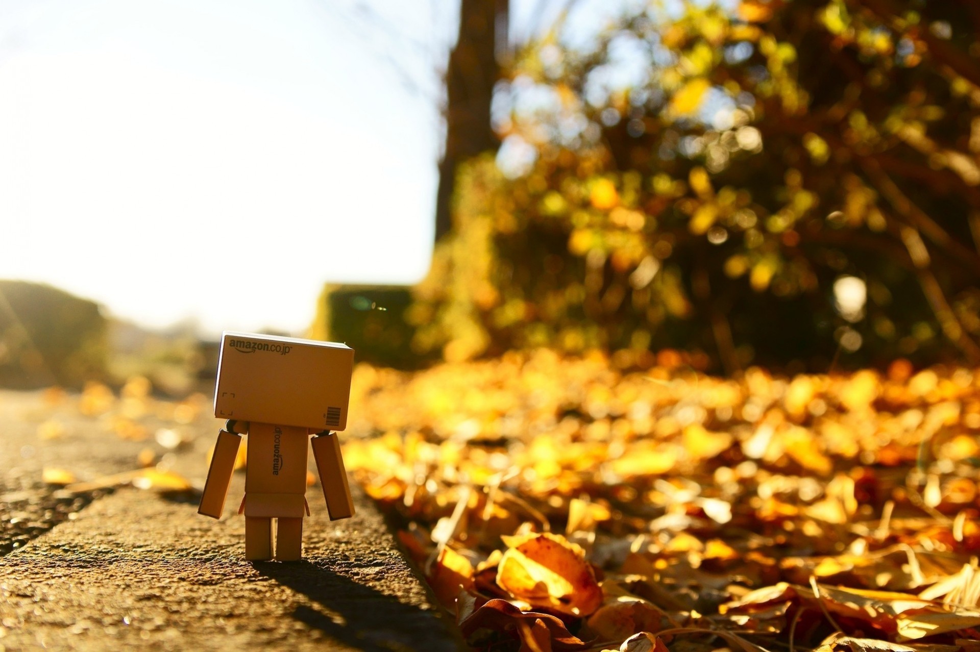 danbo одинокий