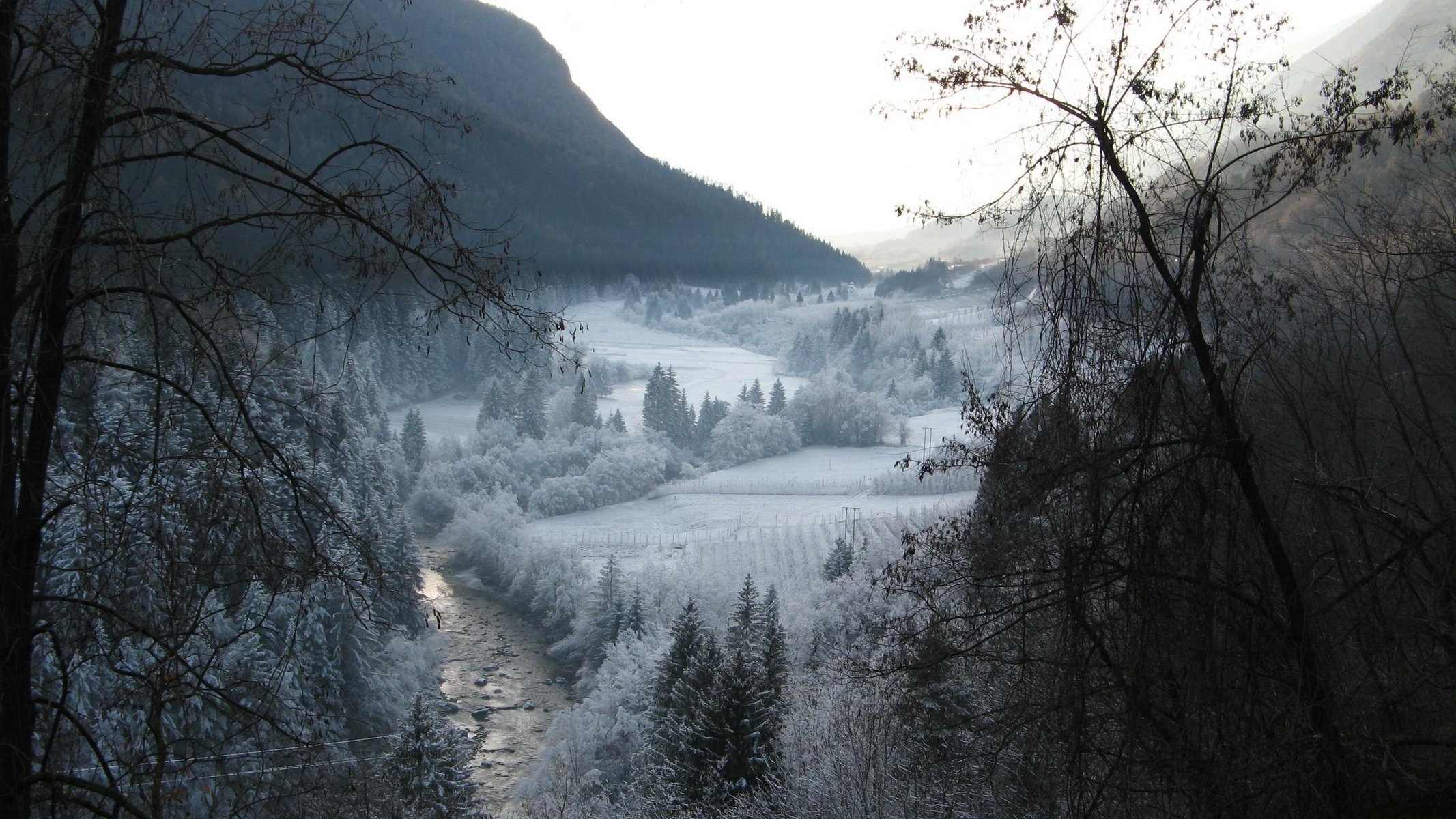 zima śnieg drzewa góry