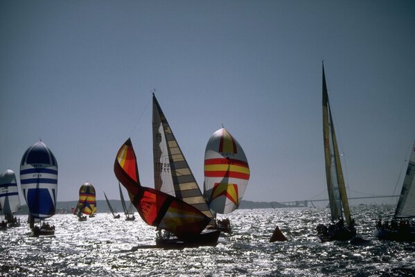 Voiliers et yachts en mer