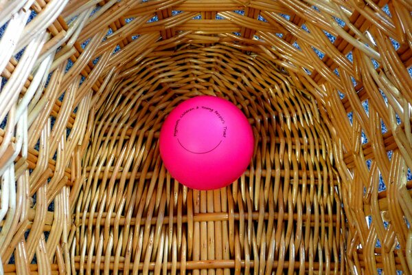 A ball in a basket made of twigs