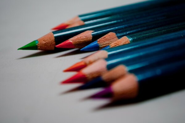 Gros plan de crayons de couleur sur fond gris