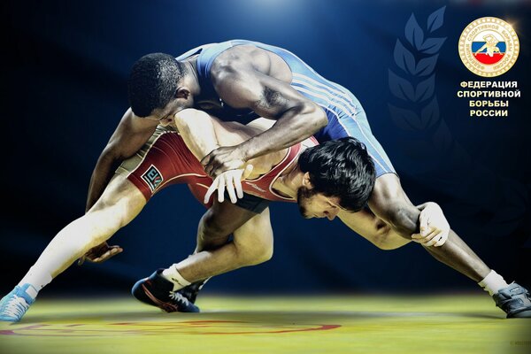 Federazione di wrestling, reception