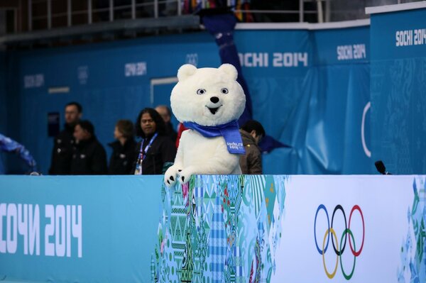 Die Olympischen Spiele in Sotschi 2014