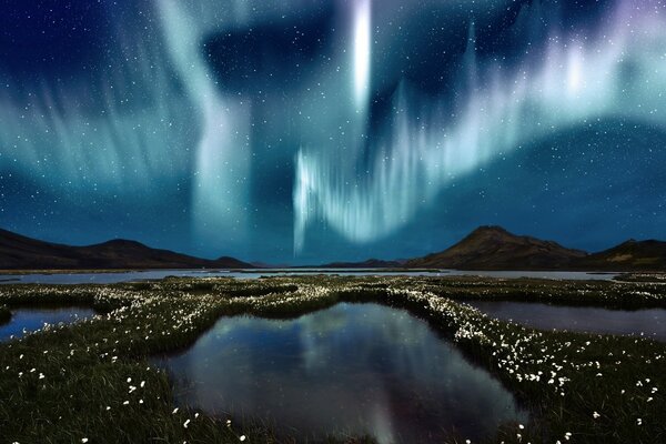 Aurora boreale sopra una palude disseminata di fiori