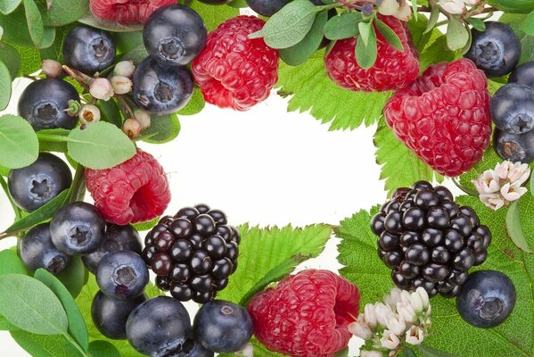 Raspberries, blackberries and blueberries in flowers