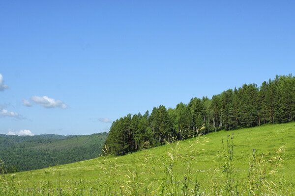 Armonía de la naturaleza-ríos, montañas