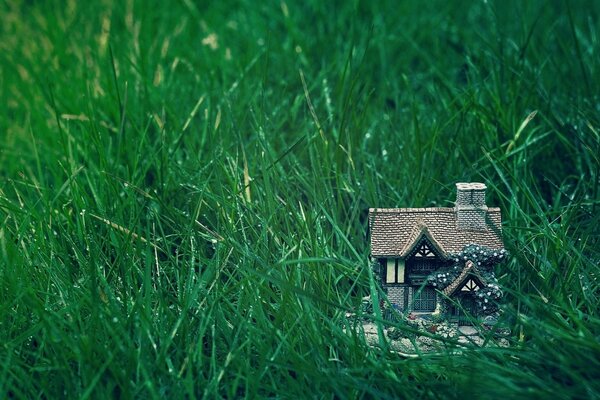 Maison de jouet sur l herbe verte