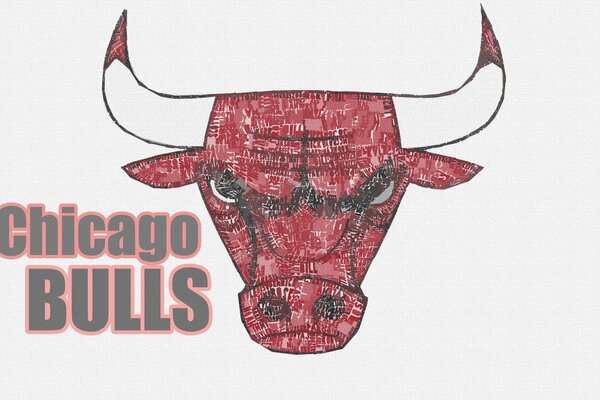 Logotipo de baloncesto de los Chicago Bulls de la NBA