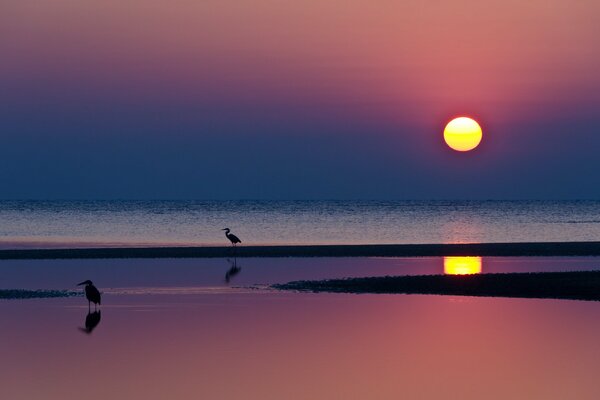 There is a bright crimson sunset in the evening sky