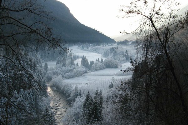 Champs enneigés, des arbres et des montagnes