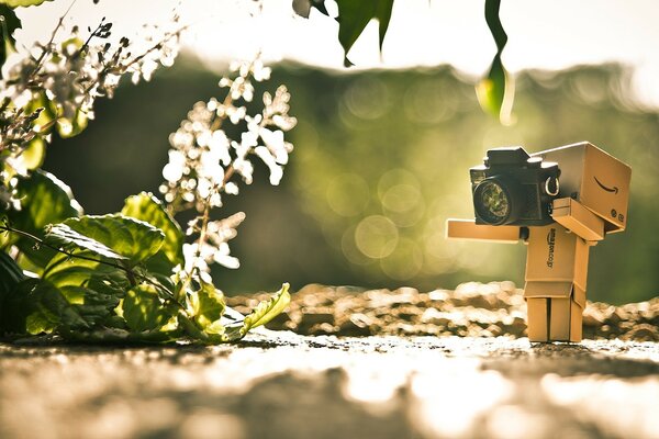 Hombre de cartón fotografiando plantas