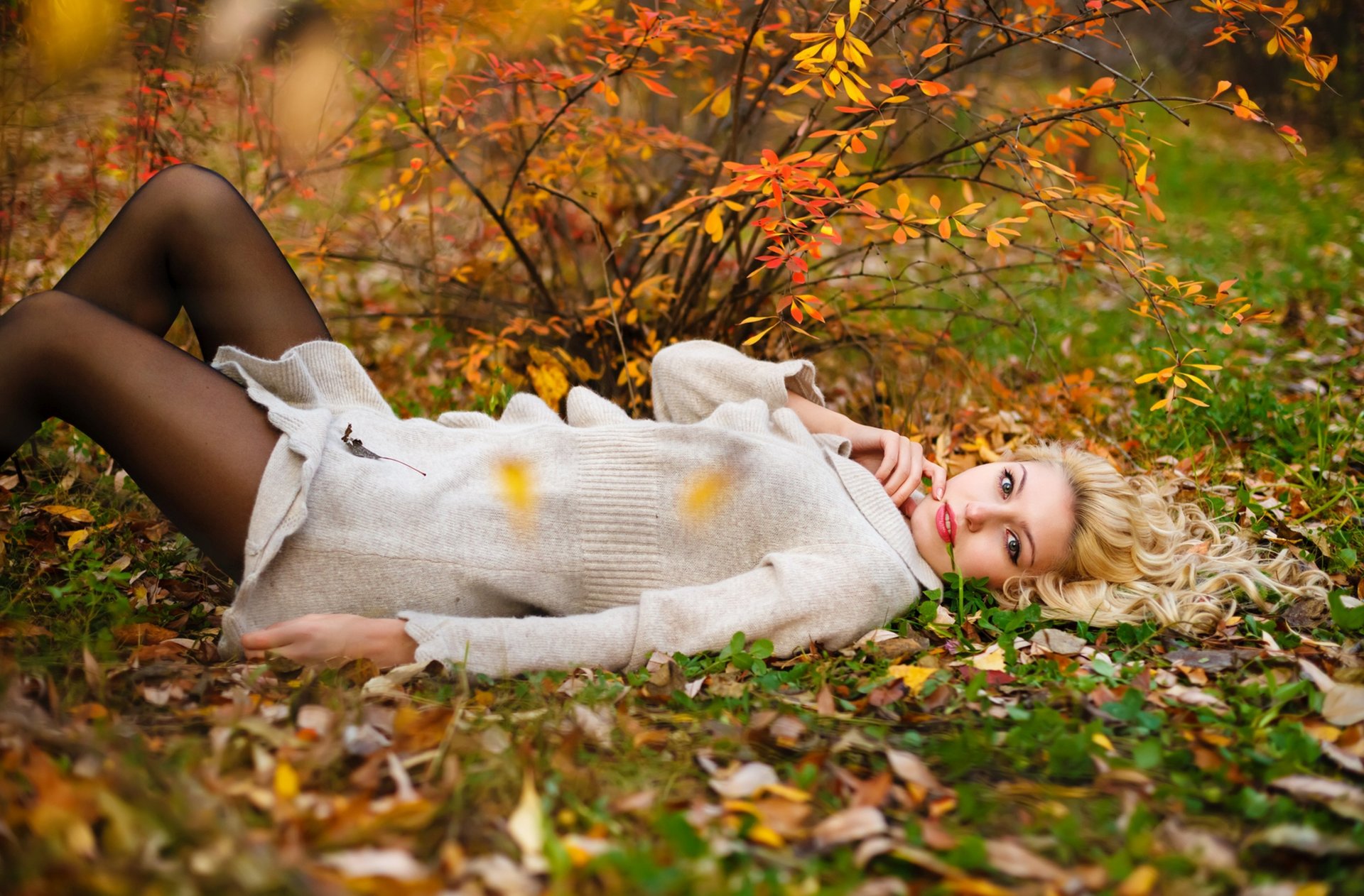 bunt natur schön herbst bäume laub bunt