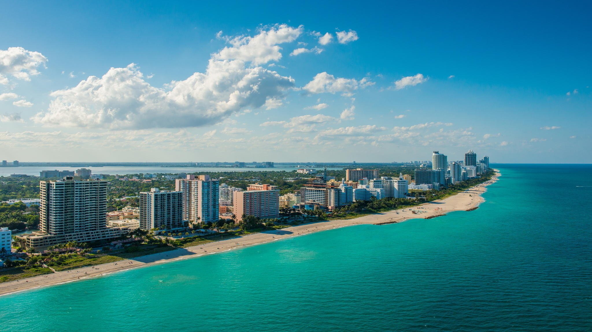 miami miami south beach plaża noc palmy floryda florida