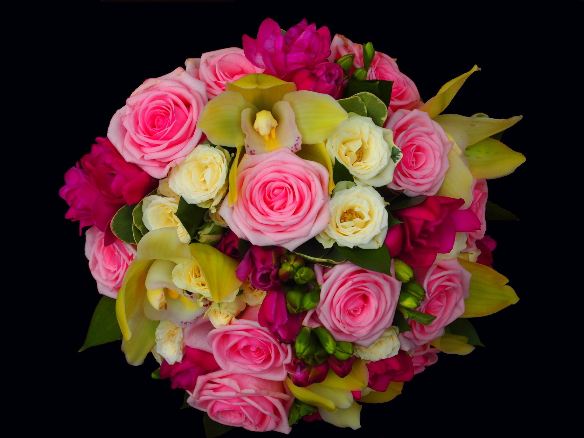 rose fiori bouquet orchidee fiore rosa orchidea