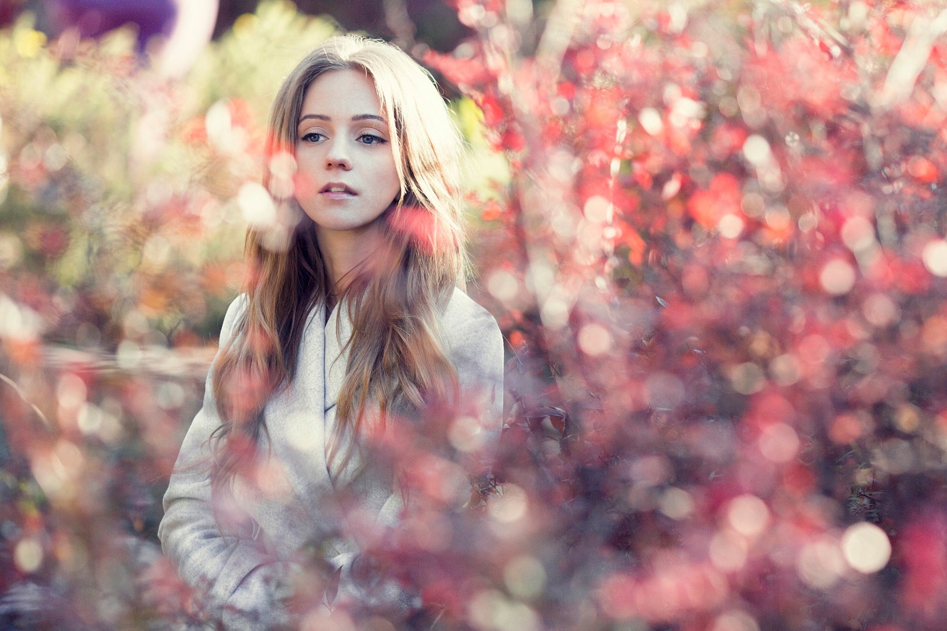 portrait view autumn leaves bokeh russia