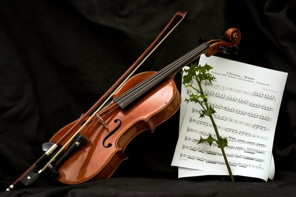 Violon, arc, feuilles de notes et rameau épineux