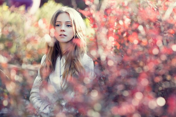 Girl on the background of leaves in autumn