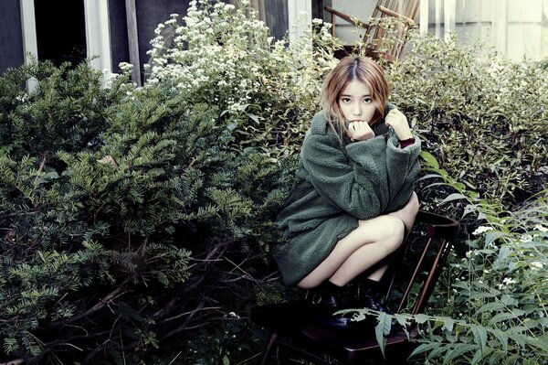 A pretty Asian woman is sitting on a wooden chair surrounded by wildlife