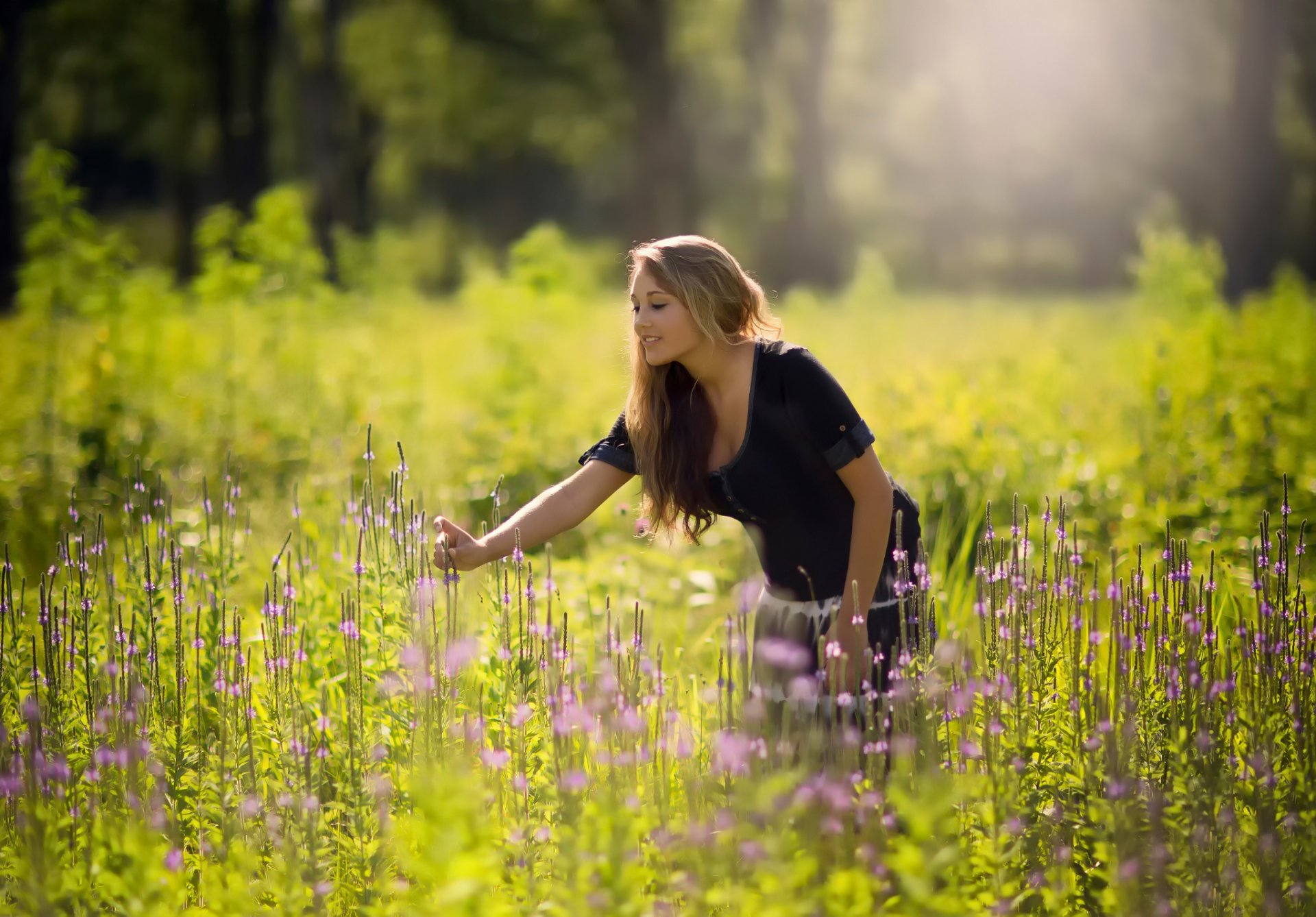 the field summer flowers girl