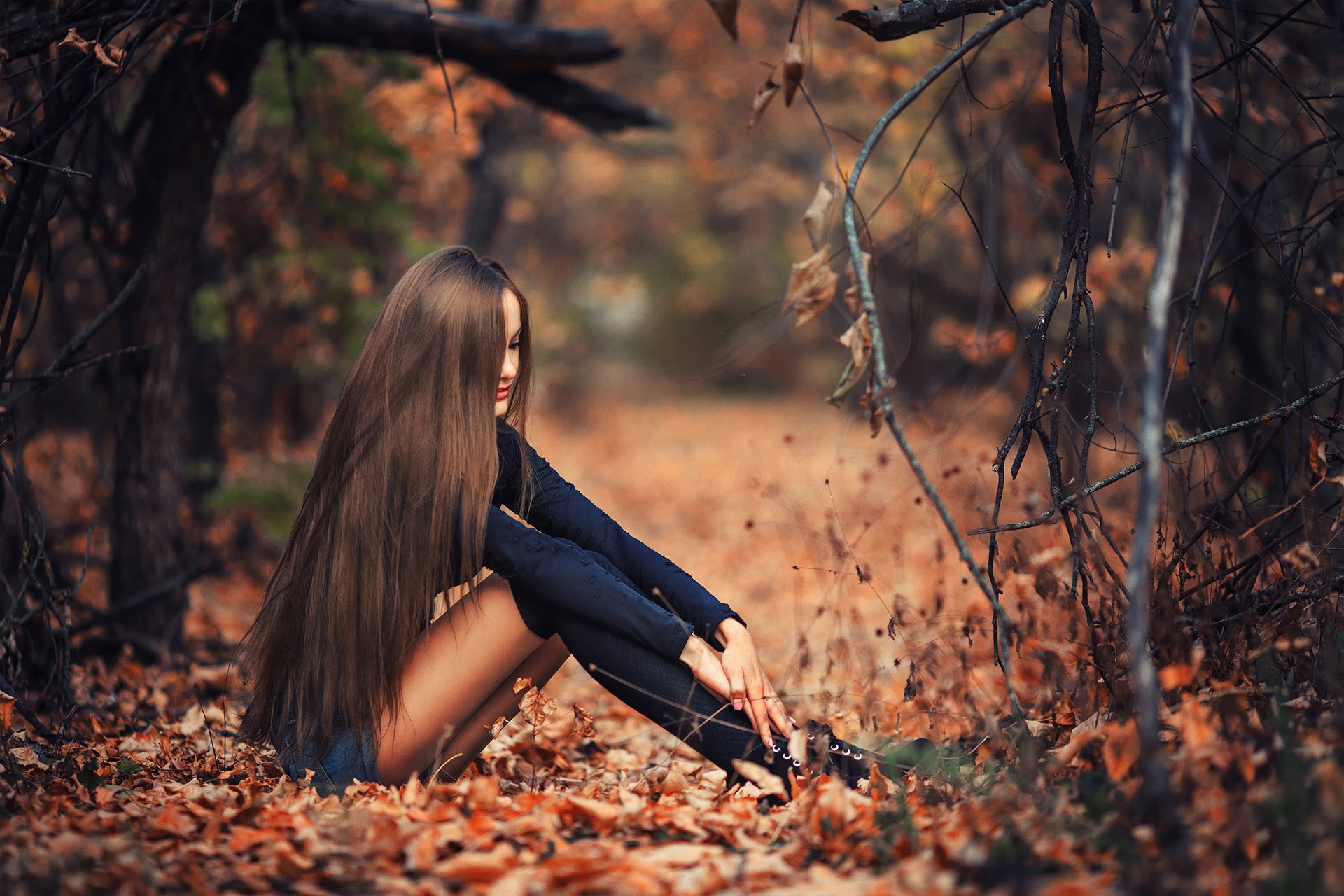 en el bosque de otoño en la naturaleza hojas