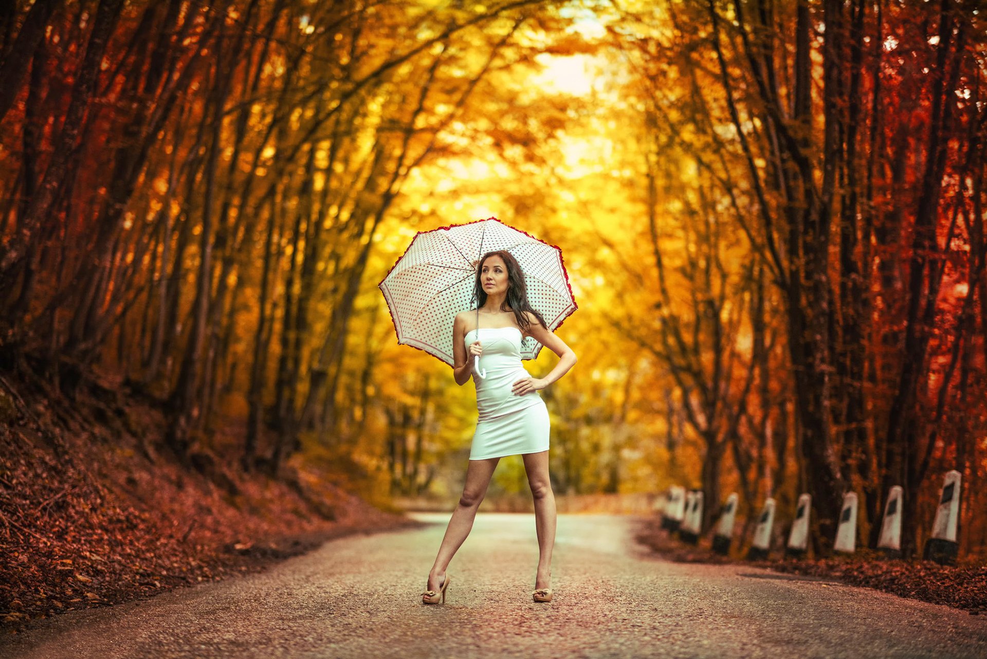 road in the autumn girl dress umbrella bokeh