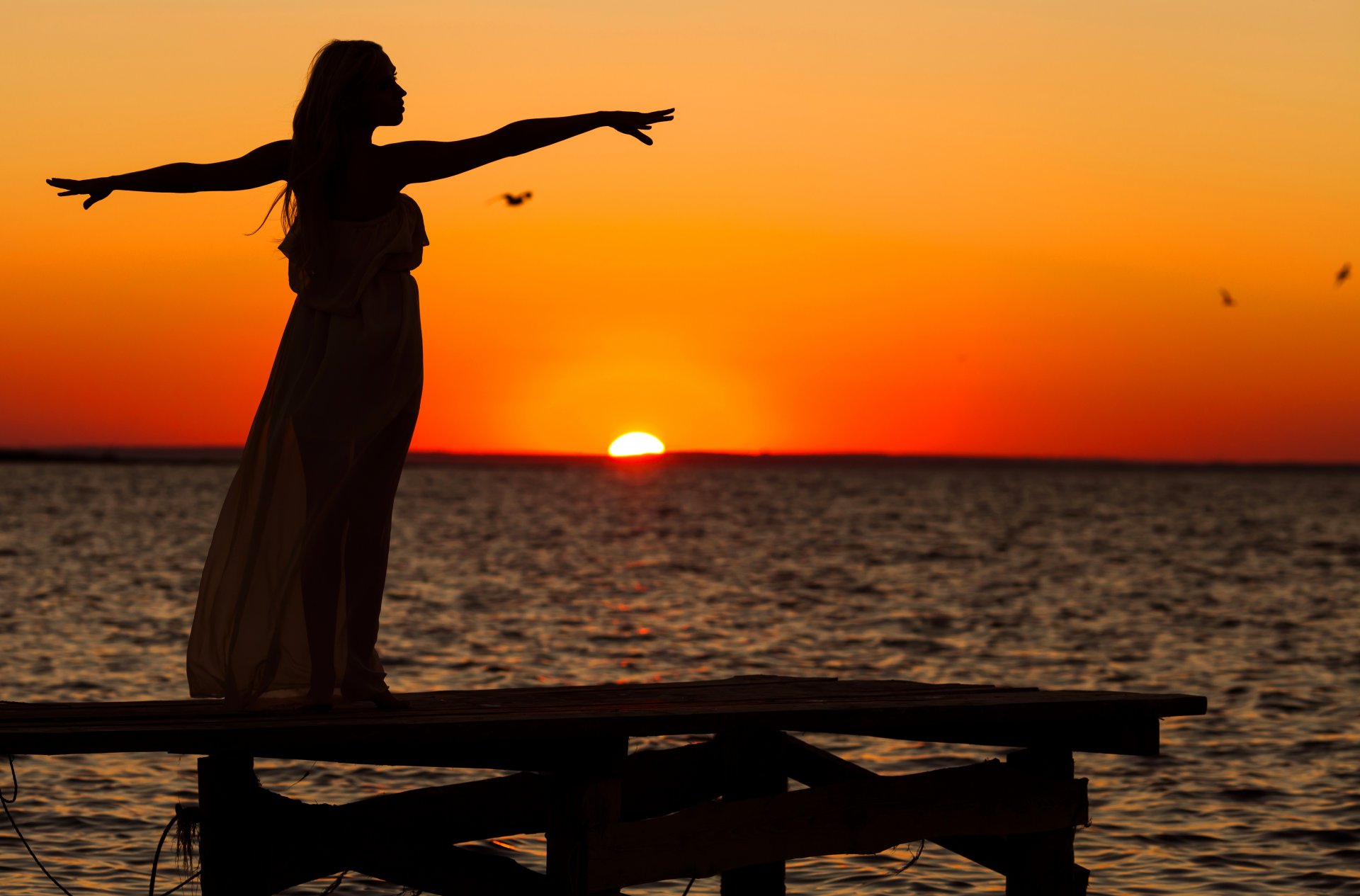 girl sea sunset gulls sky silhouette