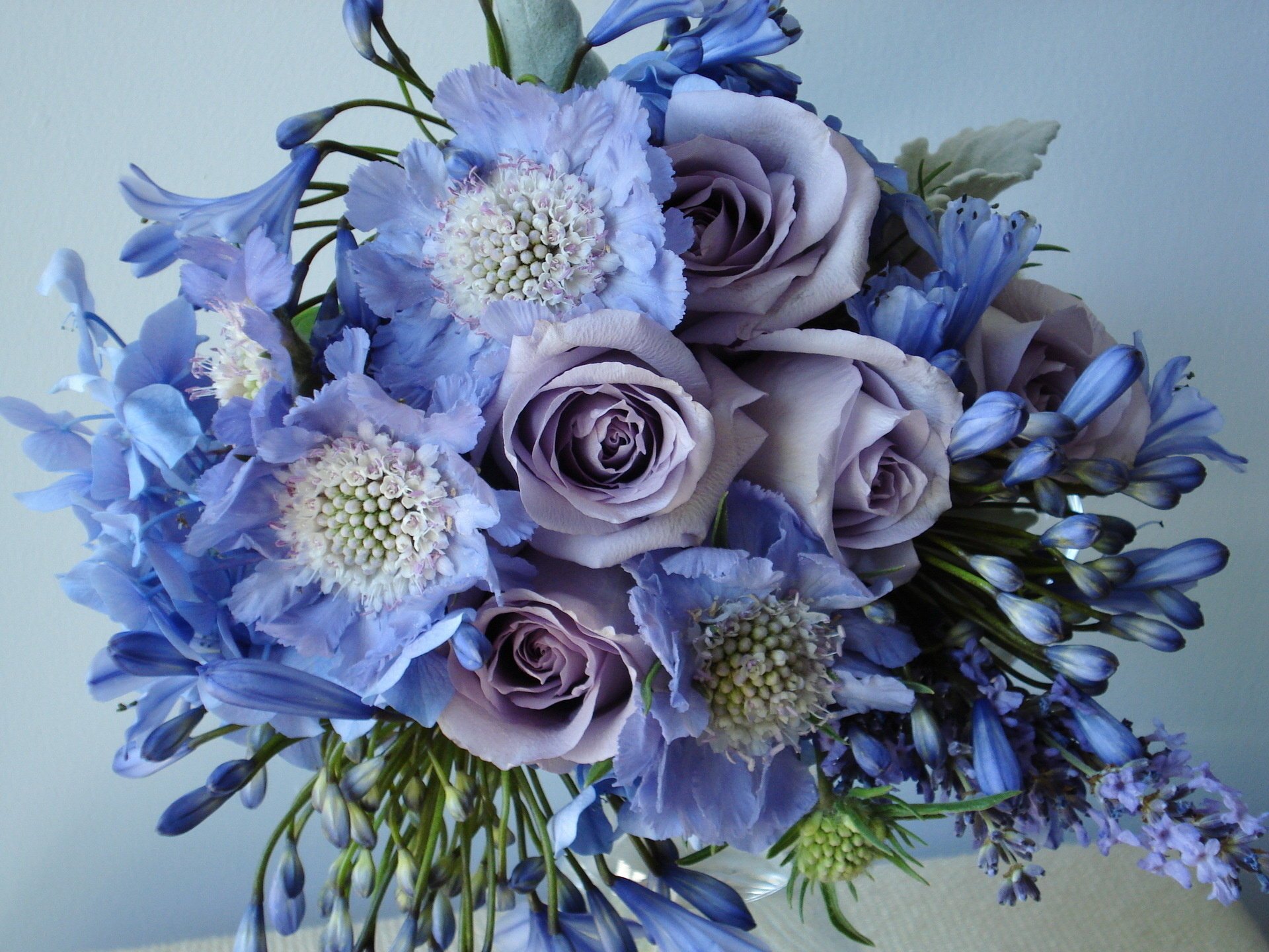 bouquet sauvages belle roses fleur lilas fleurs