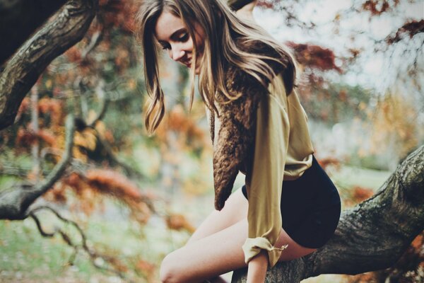 Mädchen in Shorts sitzt auf einem Baum