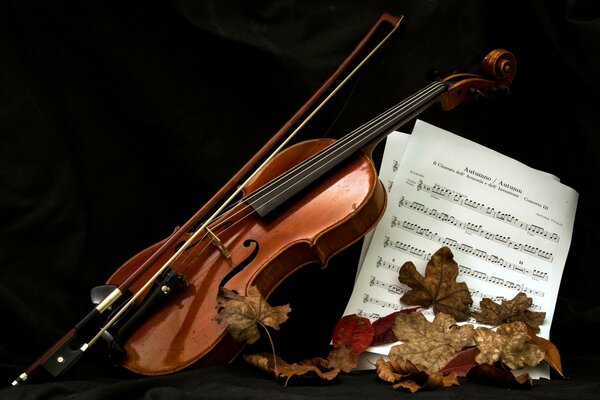 Violin, bow and notes in autumn leaves