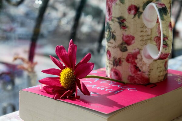 Arreglo de flor rosa, libro y taza de té