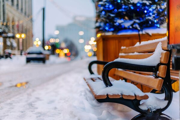 Day. Street. Winter. Bench. Meaningless and dim light