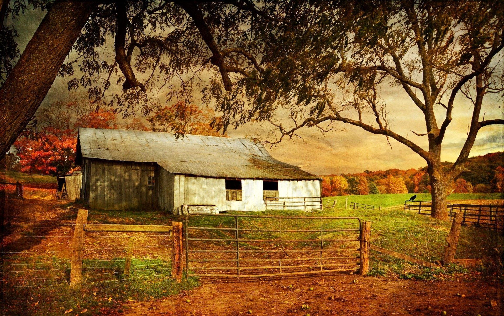 old farm autumn in virginia trees the fence