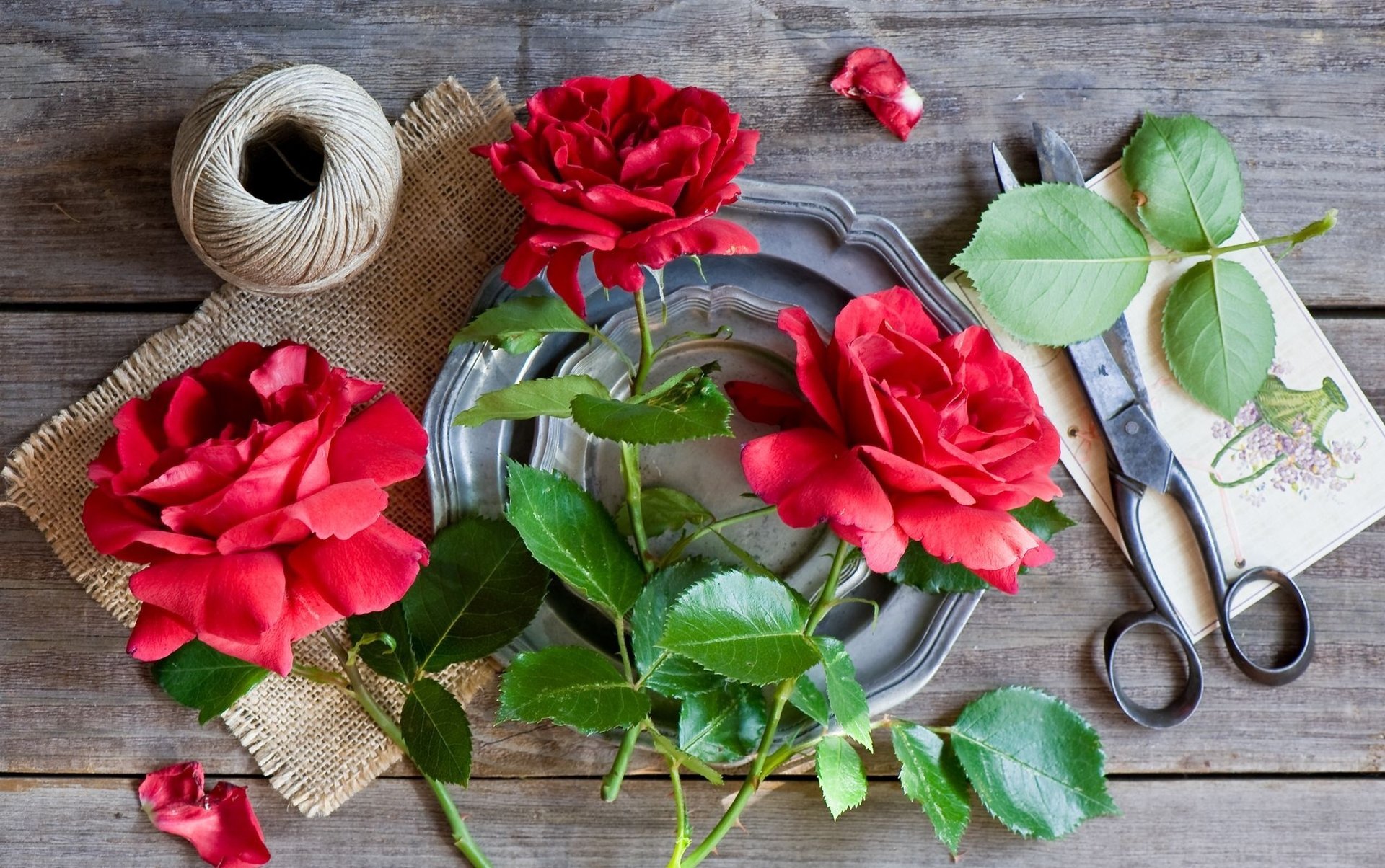 rosas tijeras cuerda naturaleza muerta