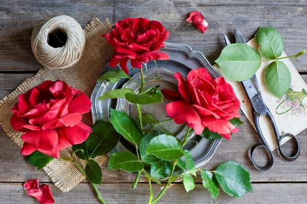 Naturaleza muerta con rosas, cuerda y tijeras