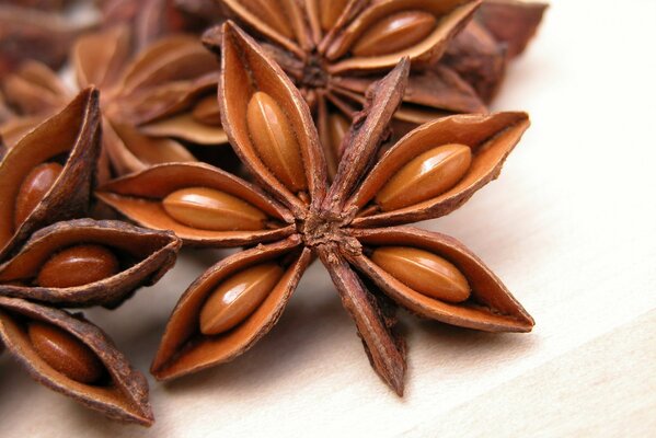 Spicy stars of anise and star anise