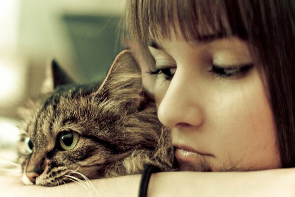 Sad girl hugs a kitten